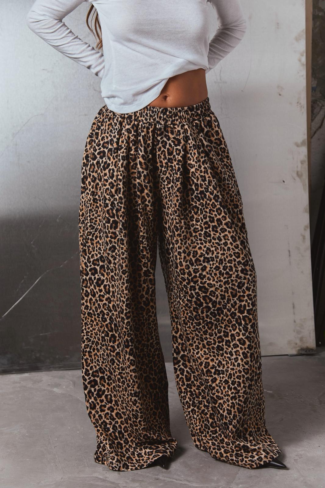 Photo 2025 11 16 19 06 48